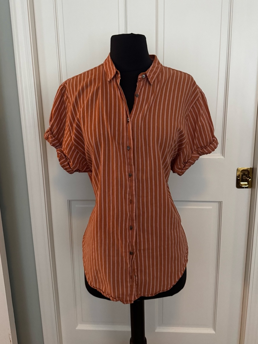 XiRENA Rust and Cream Striped Button-Front Top